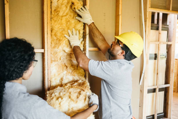 Types of Insulation We Offer in Chester, PA